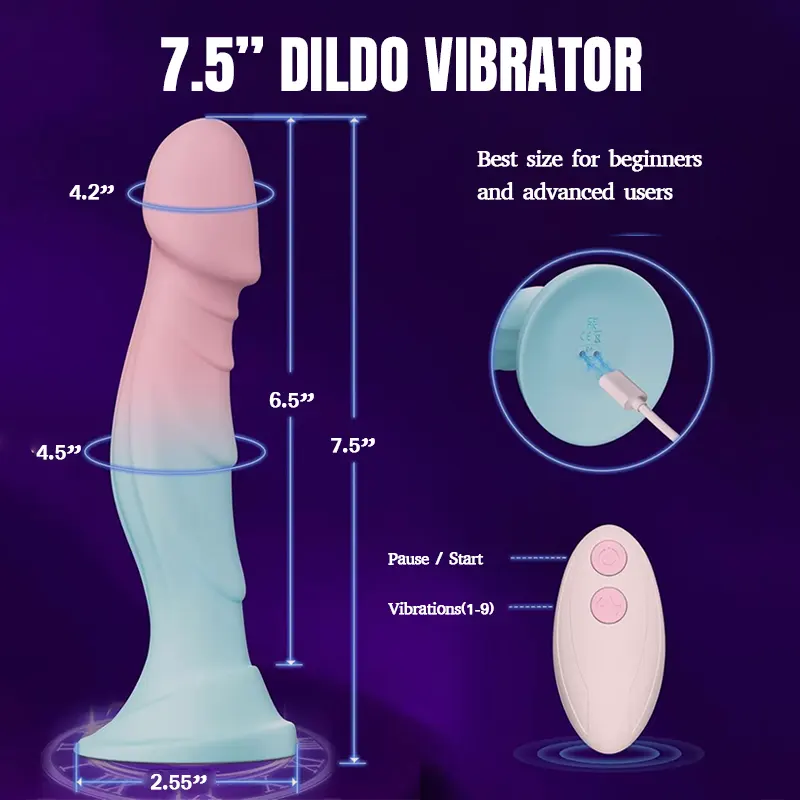 Gradient Silicone Dildo with Suction Cup