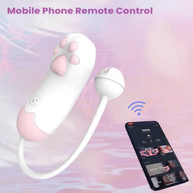 Intelligent_Remote_Control_Cat&