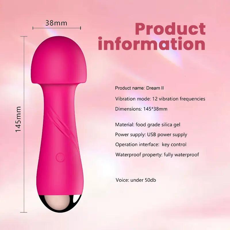 Female_Fairy_Inverter_Vibrator