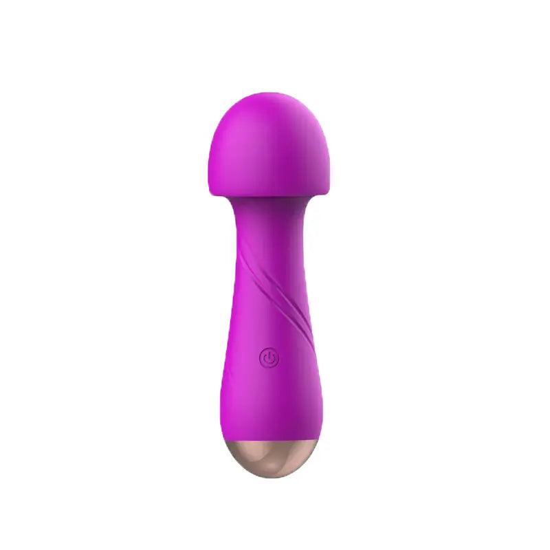 Female_Fairy_Inverter_Vibrator