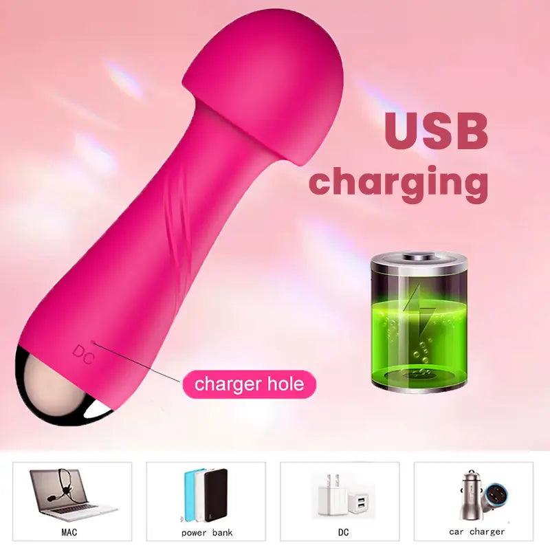 Female_Fairy_Inverter_Vibrator