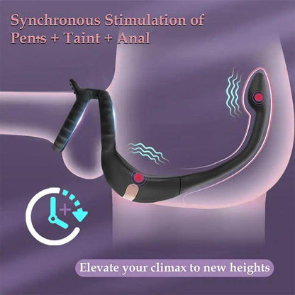 Double_Ring_Dual_Vibration_Prostate_Massager2