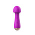 Female_Fairy_Inverter_Vibrator