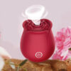 inya rose toy