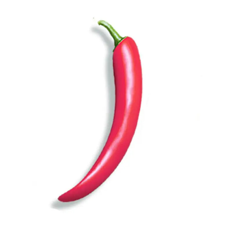 Simulated Vegetable Vibrator - Image 13