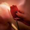 inya rose sex toy