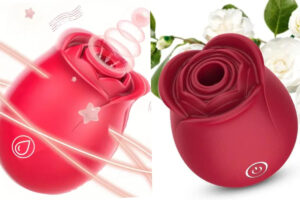 temu rose toy and Inya Rose toy