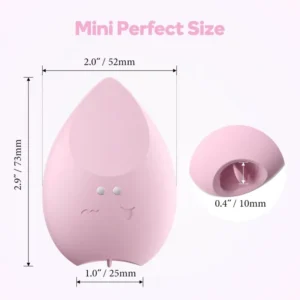 Beauty sponge handheld vibrator clitoral suction