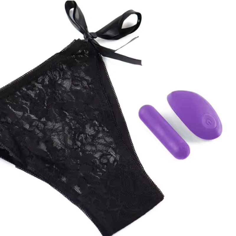 Wearable Vibrating Egg with Panties Set for Hands-Free
