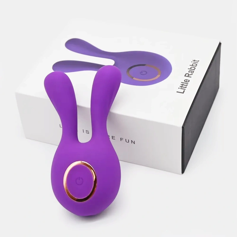 Premium Rechargeable Mini Vibrator with Storage Case