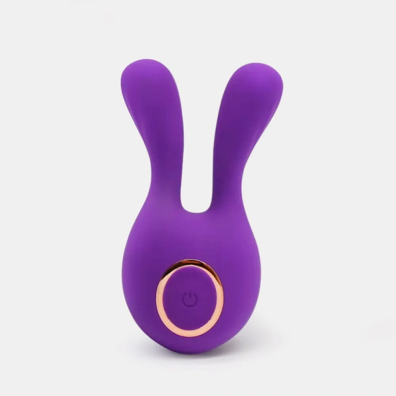 Premium Rechargeable Mini Vibrator with Storage Case