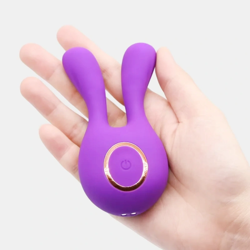 Premium Rechargeable Mini Vibrator with Storage Case